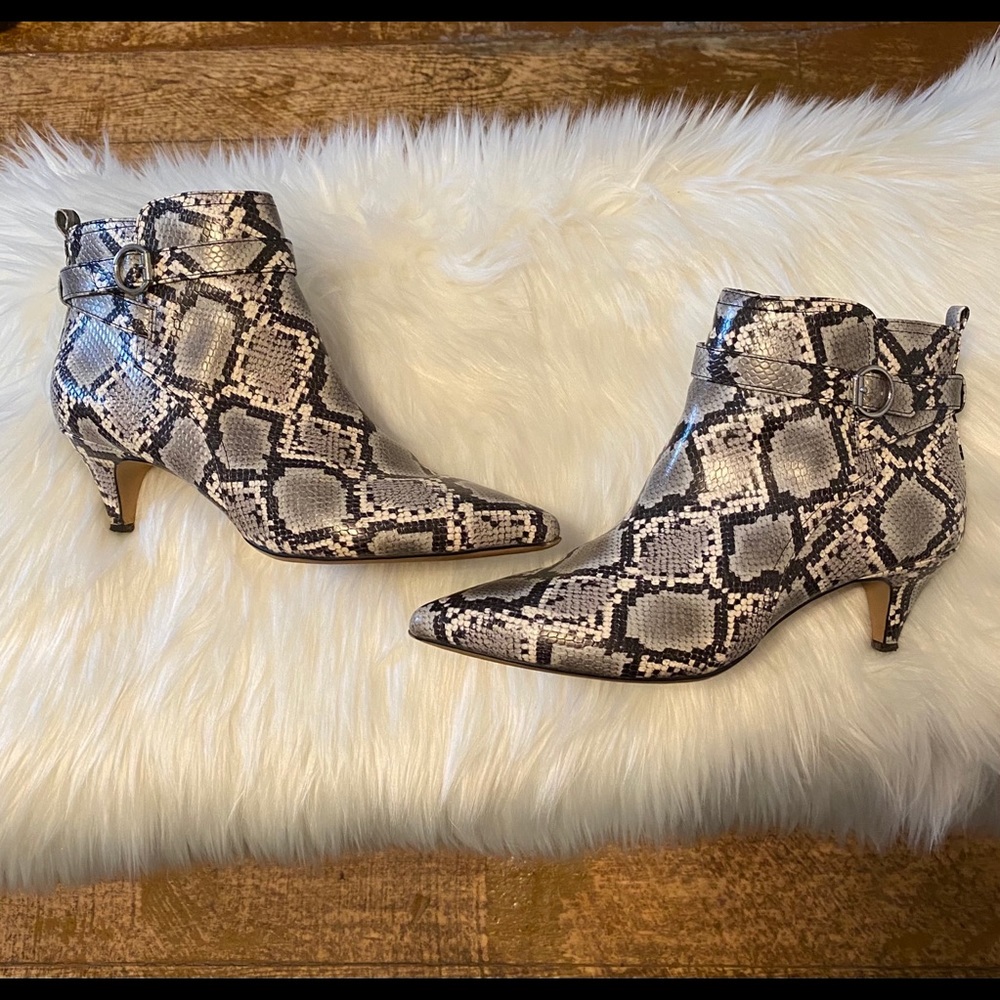 Circus by Sam Edelman Snake Print Bootie 9.5